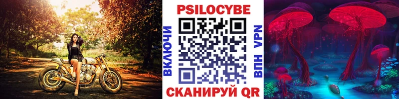 Галлюциногенные грибы Psilocybe  кракен сайт  Кораблино 